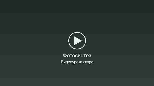 Заглушка видеоурока: Фотосинтез